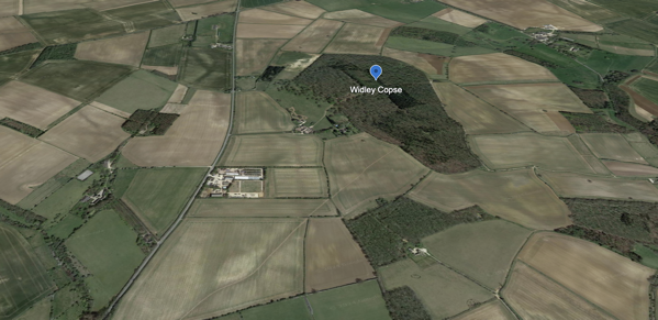 3 Widley Copse.