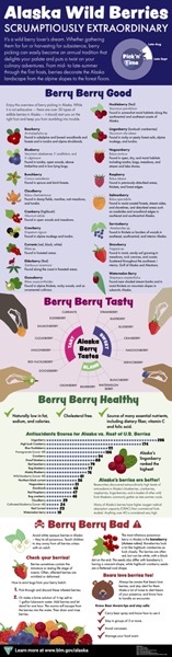 AK Wild Berries Infographic.