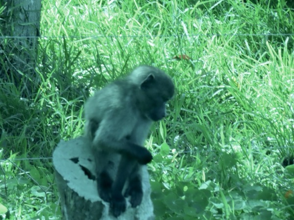 IMG_0482 copy.jpeg IMG_0482 copy.