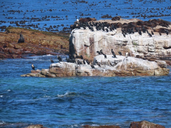 IMG_0506 copy.JPG IMG_0506 copy.