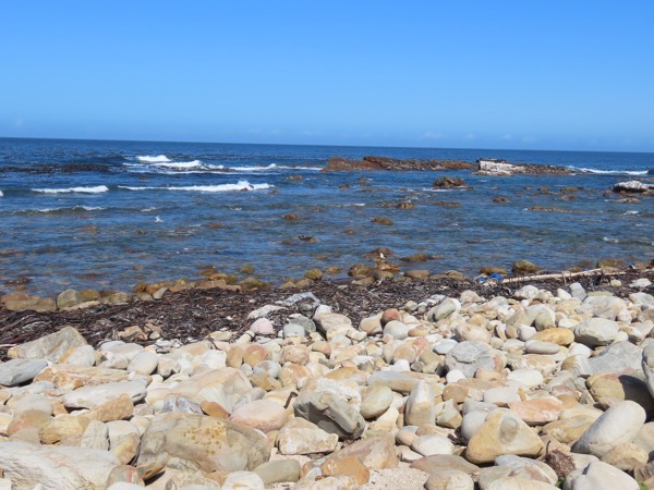 IMG_0507 copy.JPG IMG_0507 copy.