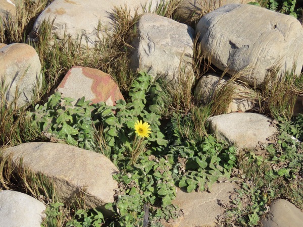 IMG_0522 copy.JPG IMG_0522 copy.