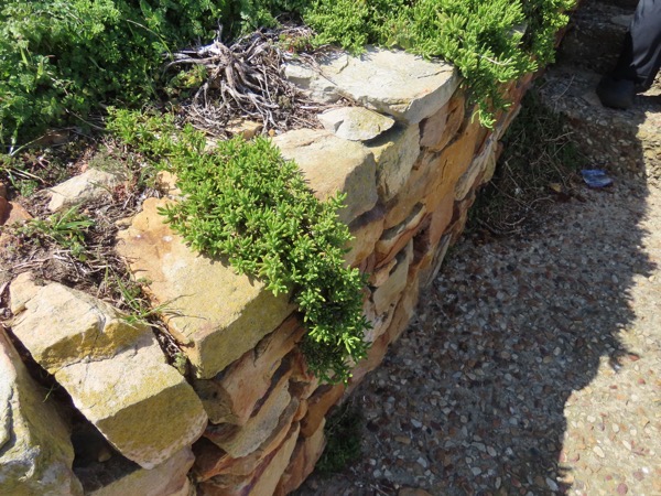 IMG_0566 copy.JPG IMG_0566 copy.