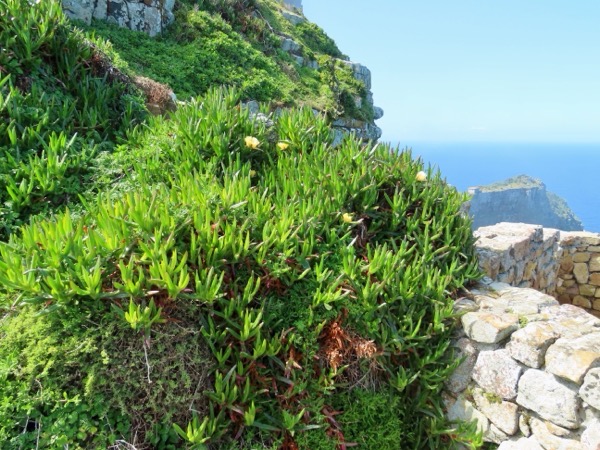 IMG_0606 copy.jpeg IMG_0606 copy.