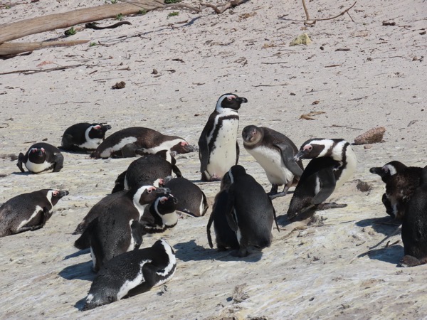 IMG_0655 copy.JPG IMG_0655 copy.