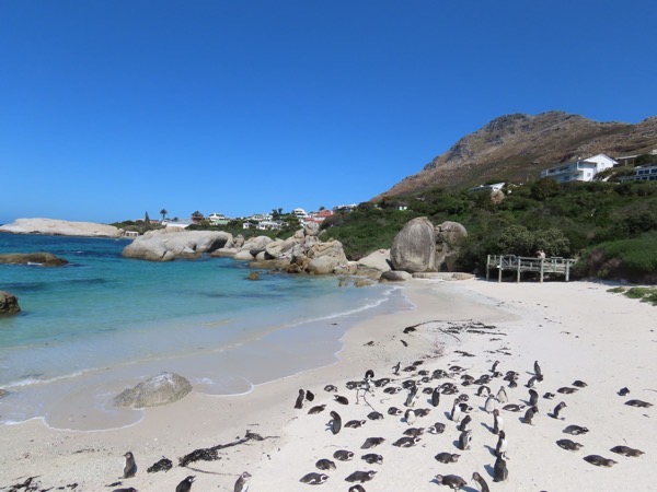 IMG_0700 copy.JPG IMG_0700 copy.