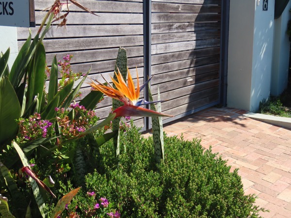 IMG_0803 copy.JPG IMG_0803 copy.