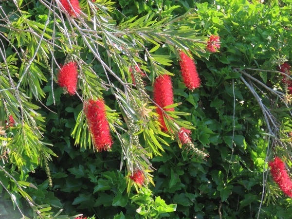 IMG_0806 copy.JPG IMG_0806 copy.