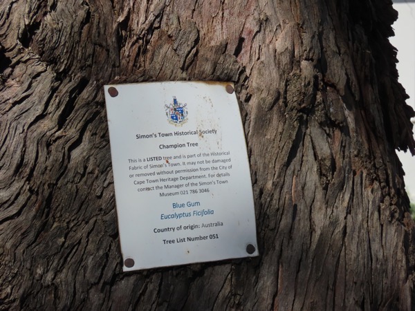 IMG_0809 copy.JPG IMG_0809 copy.